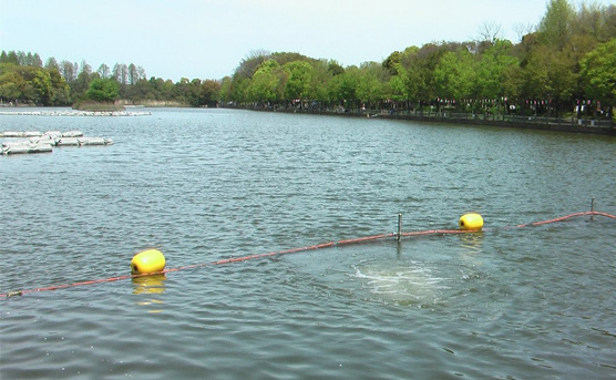 東京都 浮間公園池