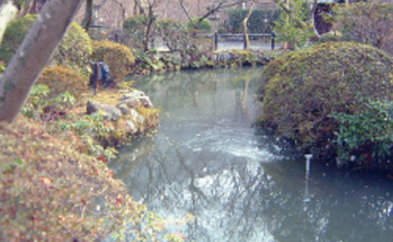 京都府 清水寺 C池