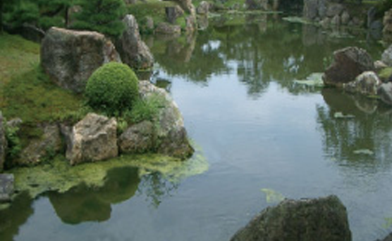 京都市「二条城二の丸庭園池」